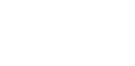 TarragonaLink